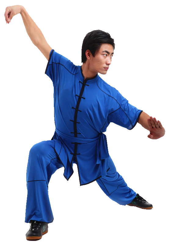 wushu2 wushu2